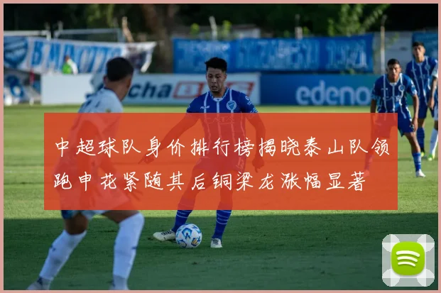 中超球队身价排行榜揭晓泰山队领跑申花紧随其后铜梁龙涨幅显著